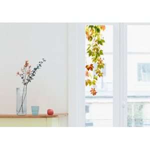  Home Stickers HOWI 1455 Vines Window Stickers
