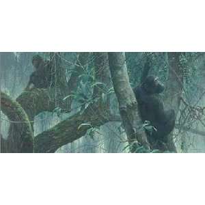  Robert Bateman   At Mahale Chimpanzees Artists Proof 