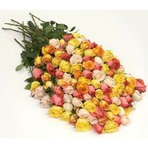 Send Fresh Cut Flowers   100 Long Stem Assorted Roses:  