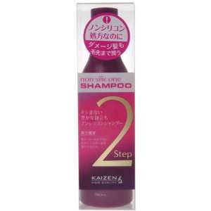  Ishizawa Lab Kaizen Non Silicon Shampoo Step 2 Health 