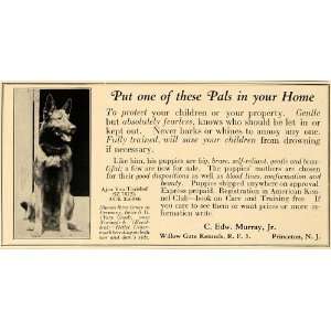 1924 Ad Shepherd Dogs Willow Gate Kennels Edw. Murray 