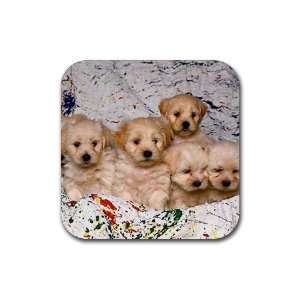  Cute puppy litter Rubber Square Coaster set (4 pack) Great 