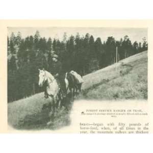   1910 United States Forest Service Rangers illustrated 