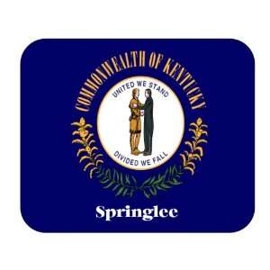   US State Flag   Springlee, Kentucky (KY) Mouse Pad 