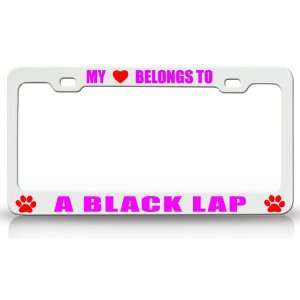 MY HEART BELONGS TO A BLACK LAP Dog Pet Steel Metal Auto License Plate 