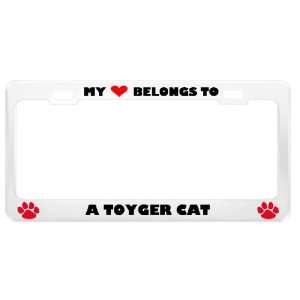 Toyger Cat Pet White Metal License Plate Frame Tag Holder
