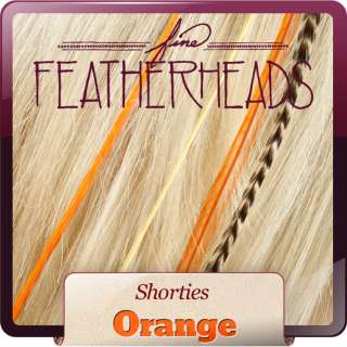 Natural Feather Hair Extension by Fine Featherheads  
