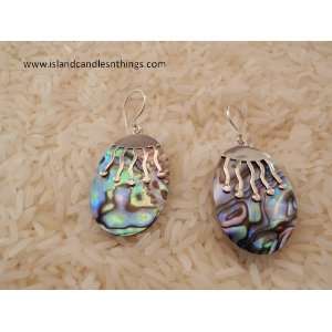  Sterling Silver Abalone Earrings Jewelry 