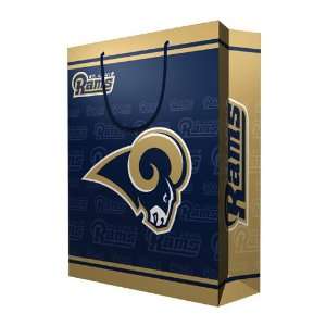   Large Gift Bag (15.5 Tall) by Pro Specialties Group: Sports & Outdoors