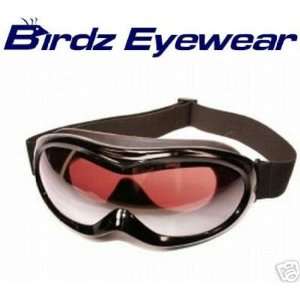 Birdz Eyewear Talon Ski Goggles with Black Frame Anti Fog and Scratch 