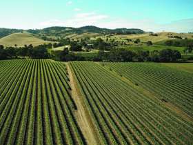peter lehmann wines is one of australia s most respected and 