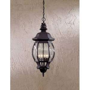  Easton Collection Indoor/Outdoor Hanging Light: Home 