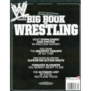   Issue Big Book Of Wrestling WORLD WRESTLING ENTERTAINMENT Books