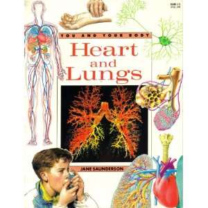  Heart & Lungs   Pbk (You and Your Body Series 