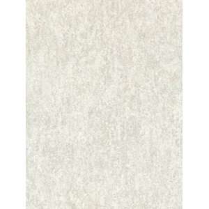    Wallpaper Patton Wallcovering Focal Point 7993109
