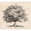 Inkadinkado Fall Tree Wood Stamp