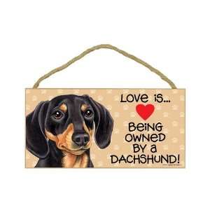  Dachshund (Black and brown) (Love is being owned by) Door 