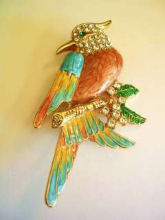 RHINESTONE PARROT BIRD Brooch Pin Crystal Ladies Pins R  