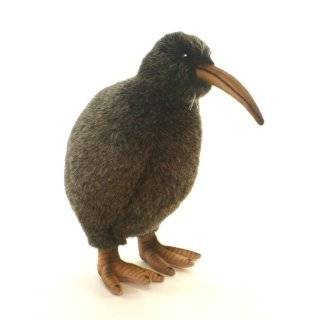  Ty Beanie Babies   Beak the Kiwi Bird Toys & Games
