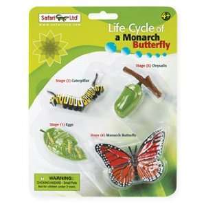   622616 Life Cycle of a Monarch Butterfly Pack of  3 Toys & Games