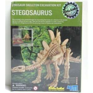  Stegosaurus Dinosaur Skeleton Excavation Kit Toys & Games