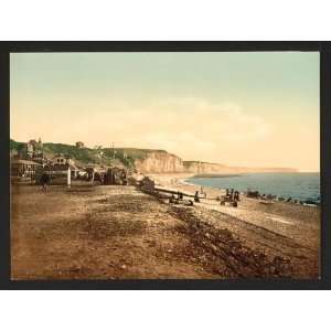    Photochrom Reprint of The beach, Fecamp, France: Home & Kitchen