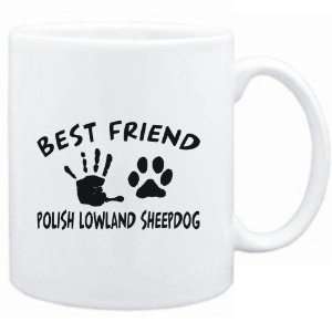   IS MY Polish Lowland Sheepdog  Dogs 