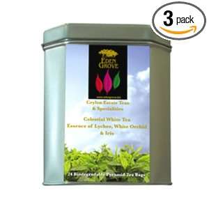 Eden Grove White Tea Lychee White Orchid, 24 count Pyramid Tea Bags, 1 