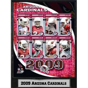   Select 510 FBAZ2009 2009 Arizona Cardinals 9x12 Plaque