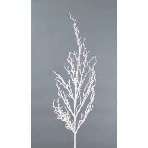   Christmas/Holiday/Wedding Branches 42  Home & Kitchen