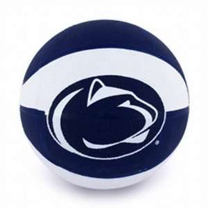   Penn State Nittany Lions Crossover Basketball Boxd: Sports & Outdoors