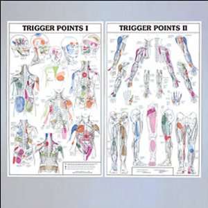 Laminated Trigger Point I & II Charts Set  Industrial 