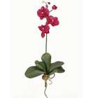 NearlyNatural Mini Phalaenopsis Silk Orchid Flowers (6 Stems) Wine