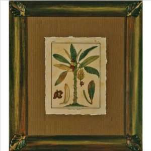   Galleries RS34 Small Banana Tree Framed Print: Kitchen & Dining