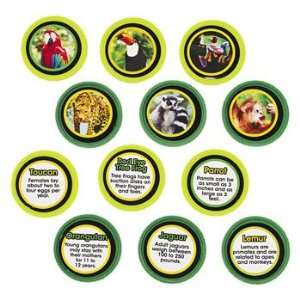  48 Rain Forest Trading Coins   Teacher Resources 