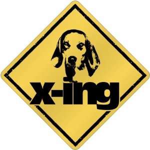 New  English Coonhound X Ing / Xing  Crossing Dog:  Home 