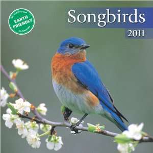  Songbirds 2011 Mini Wall Calendar