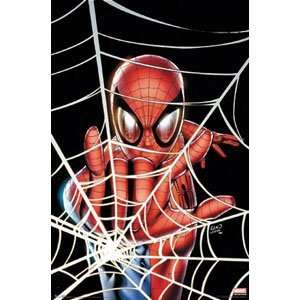  Spider Man   Posters   Movie   Tv