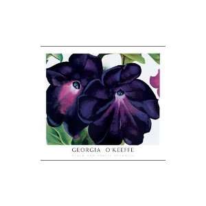  Black And Purple Petunias    Print