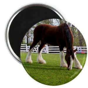  Beautiful HORSE in Green Pasture 2.25 inch Fridge Magnet 