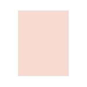 ColorMates 8.5x11 Classic Light Pretty Pink  65lb 25 Pack  
