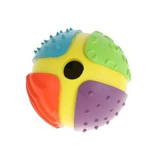  Multipets 4 Inch Hodgepodge Ball Rubber Dog Toy: Pet 