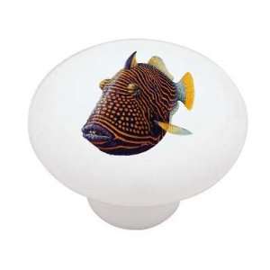  Trigerfish Decorative High Gloss Ceramic Drawer Knob