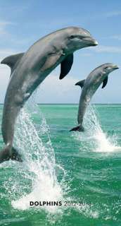Dolphins 2012 Pocket Planner  