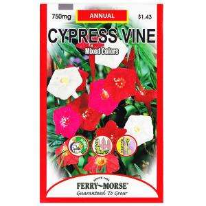 Ferry Morse 750 Mg Cypress Vine Mixed Colors Seed 1948 at The Home 