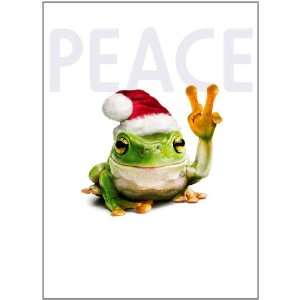    Avanti Christmas Cards, Festive Frog, 10 Count