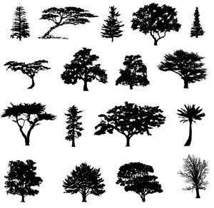 TREES Decal Magic SILHOUETTES Black Enamel Decals HIGH FIRE  