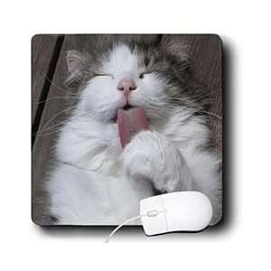    Beverly Turner Photography   Grooming Cat   Mouse Pads Electronics