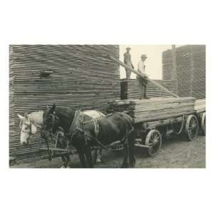  Loading Lumber on Horse Drawn Wagon World Culture Premium 
