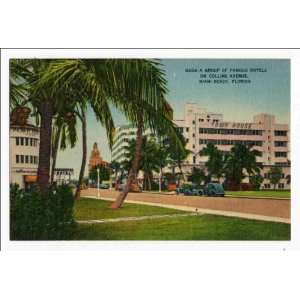   famous hotels on Collins Avenue, Miami Beach, Florida